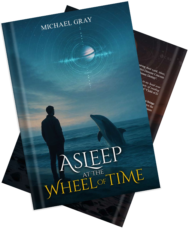 book-6411